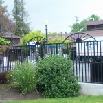 Simple Decorative Iron Fence