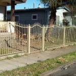 Iron Fencing With Small Door