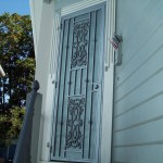 Panel Iron Door