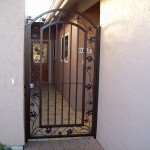 Grape Vine Iron Door